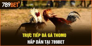 trực tiếp đá gà thomo