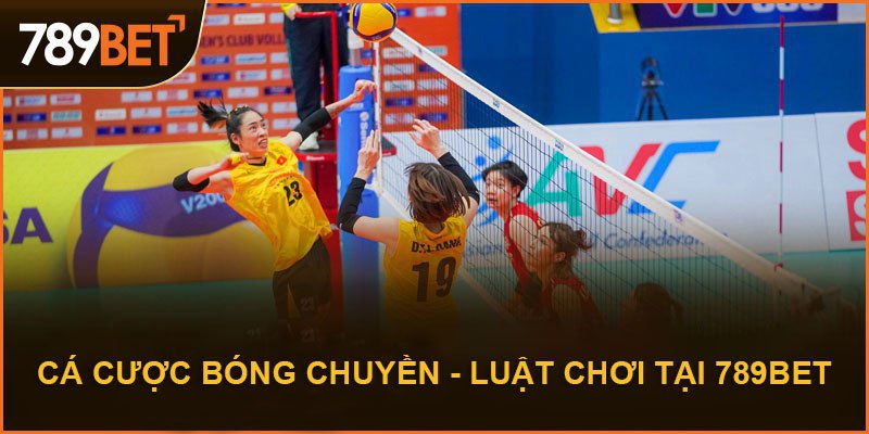 cá cược bóng chuyền