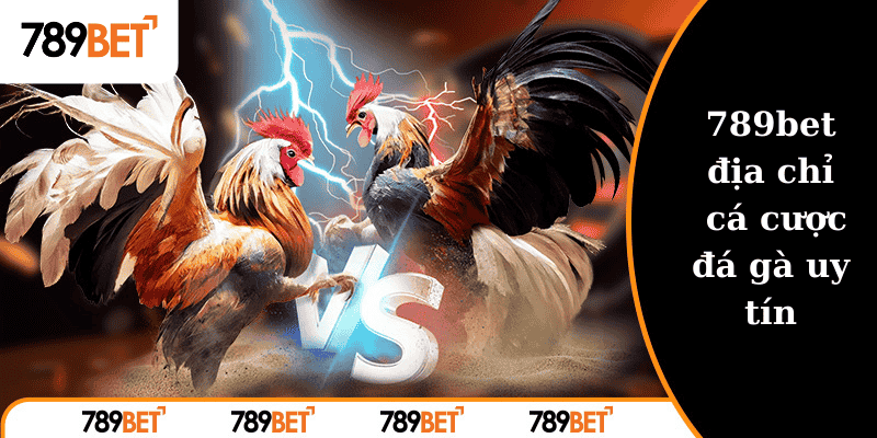 địa chỉ cá cược đá gà uy tín